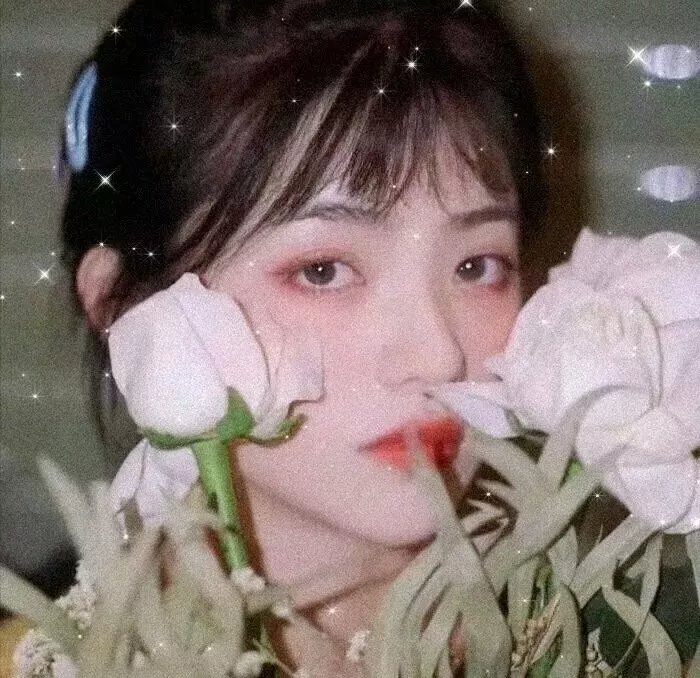 康纳斯的战争